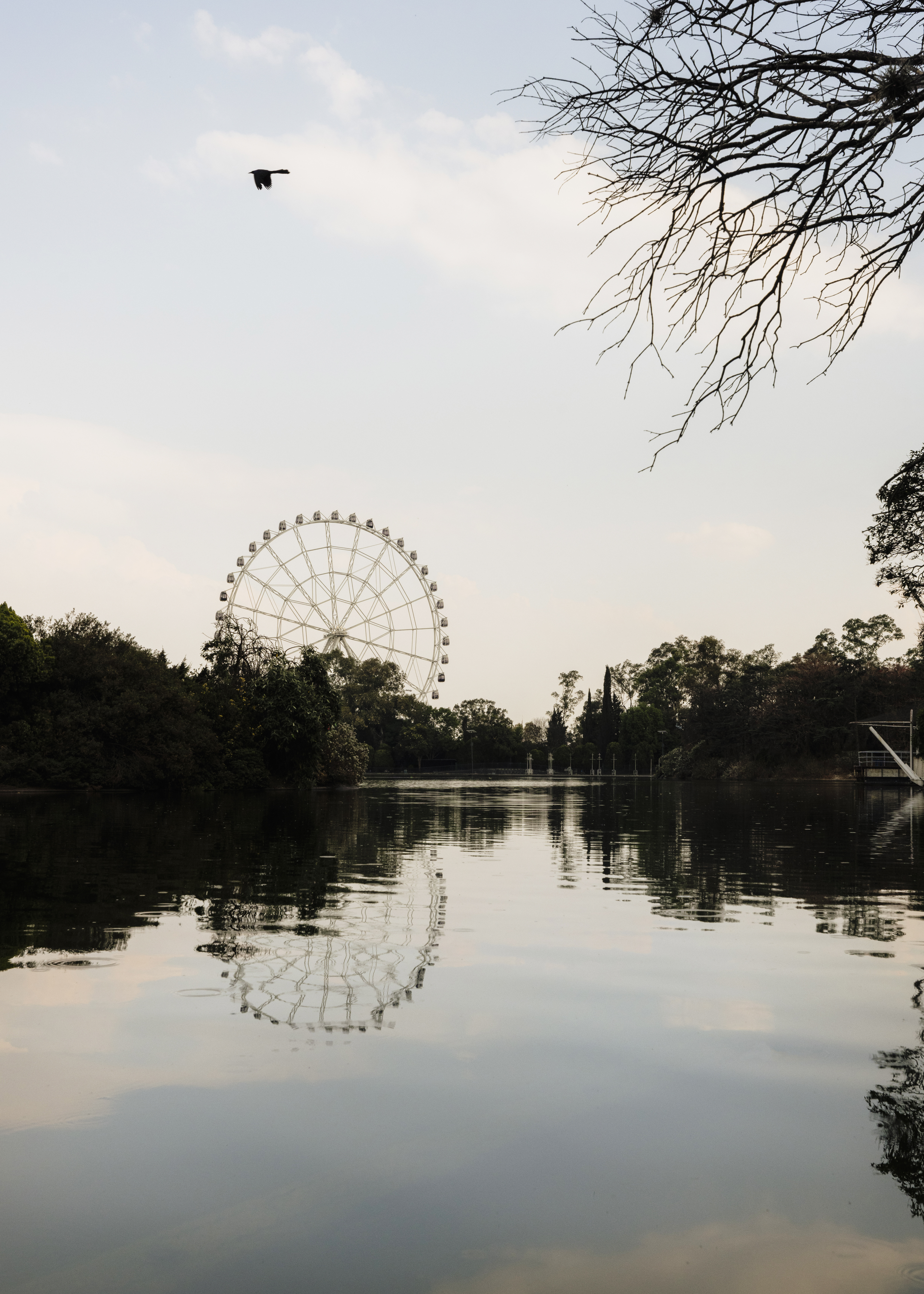 Rueda del Parque Aztlán vista desde el lago
